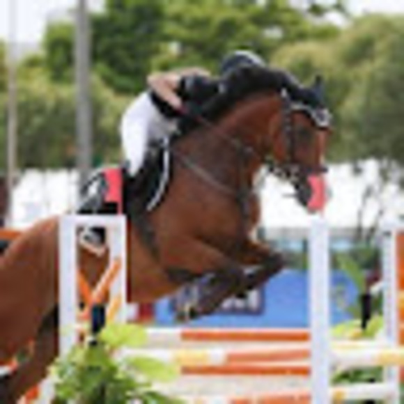 Meet your Posher, Avery - Picture 1 of 1